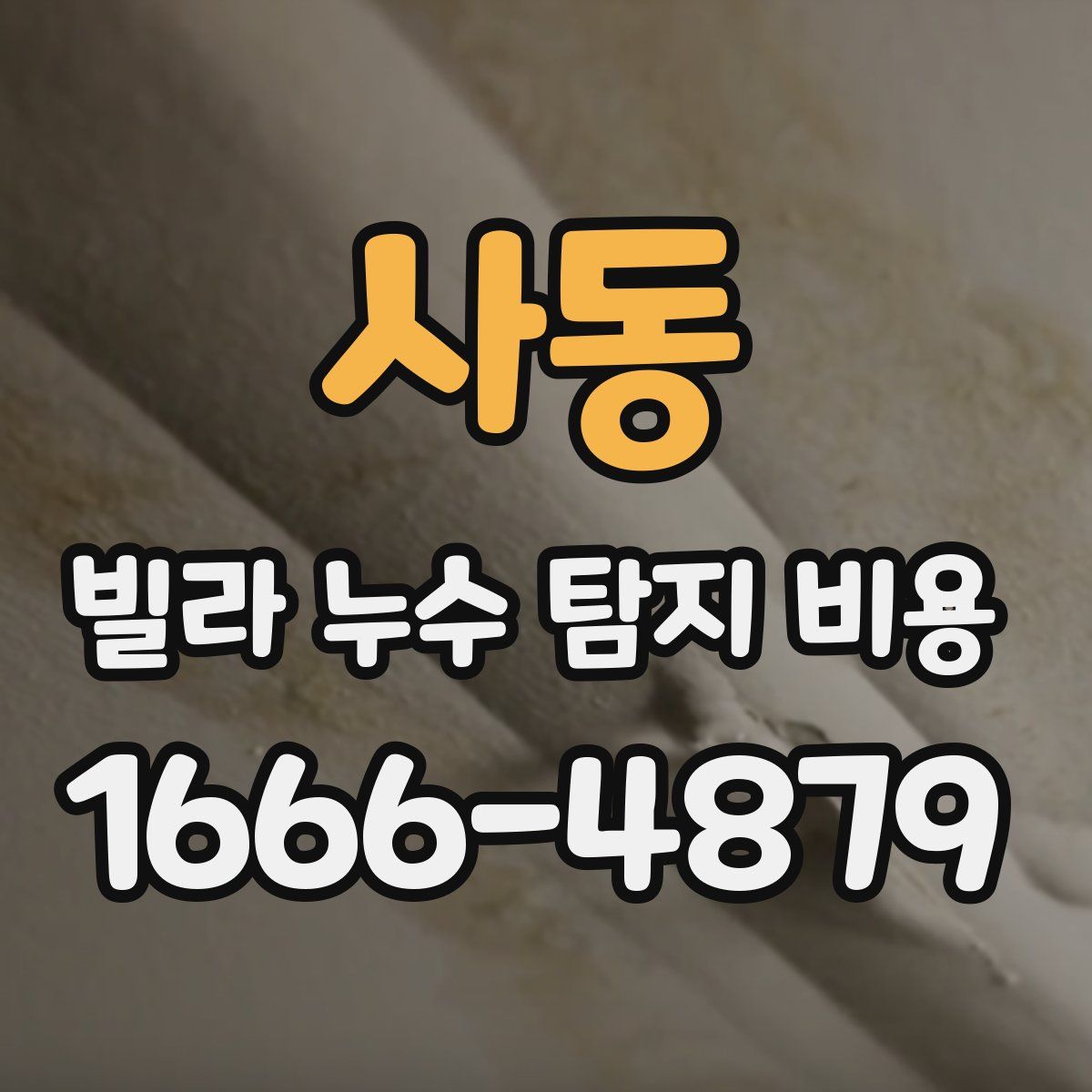 사동 빌라 누수 탐지 비용