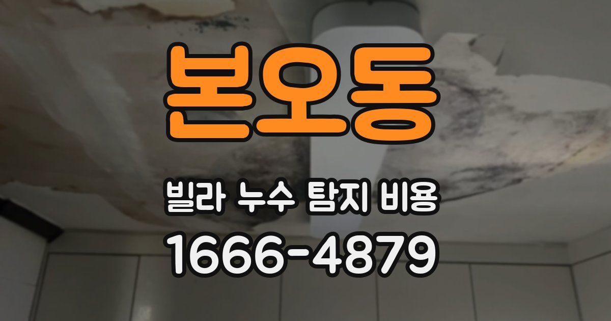 본오동 빌라 누수 탐지 비용