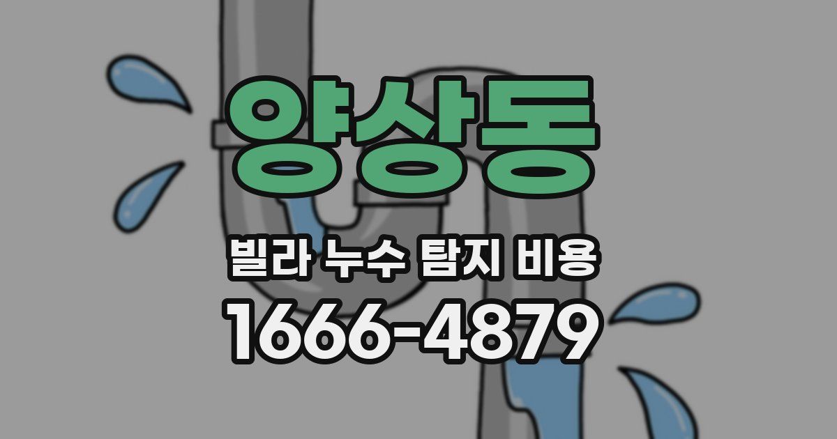 양상동 빌라 누수 탐지 비용