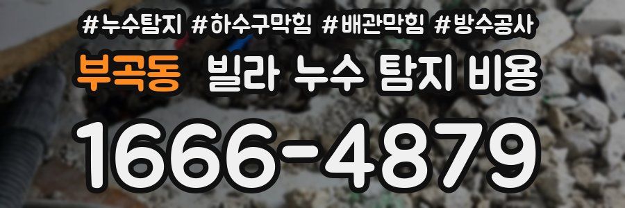 부곡동 빌라 누수 탐지 비용