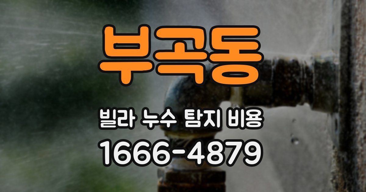 부곡동 빌라 누수 탐지 비용