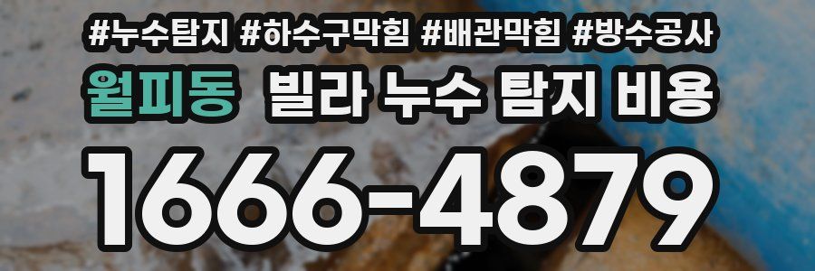 월피동 빌라 누수 탐지 비용