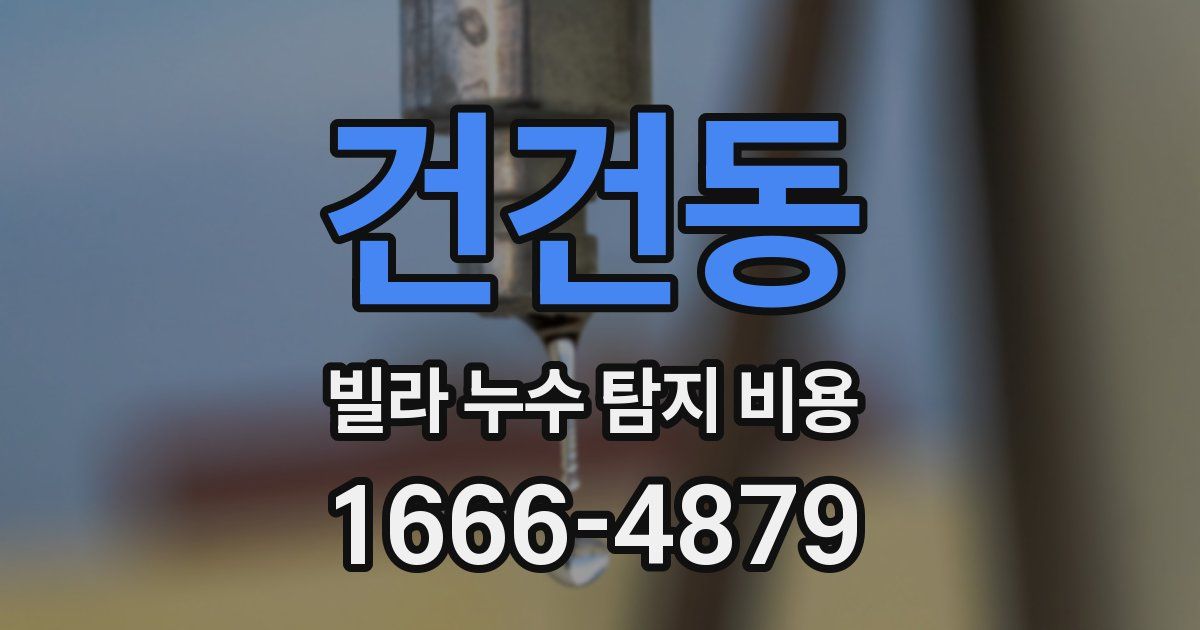 건건동 빌라 누수 탐지 비용