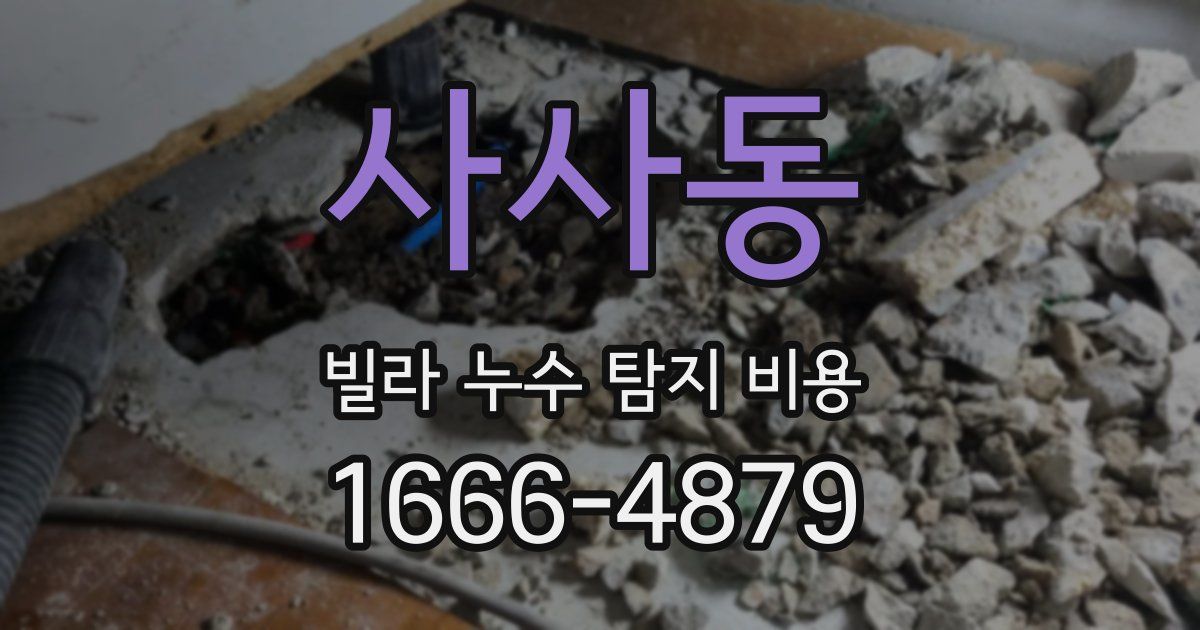 사사동 빌라 누수 탐지 비용