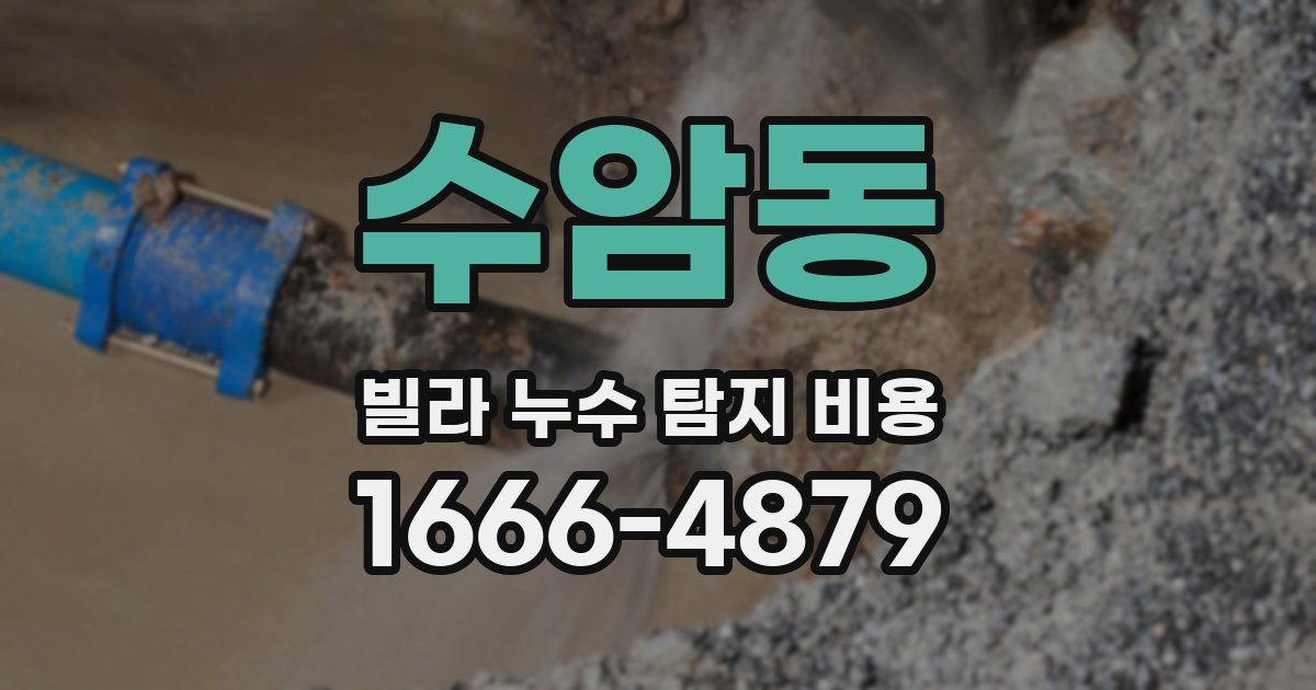 수암동 빌라 누수 탐지 비용