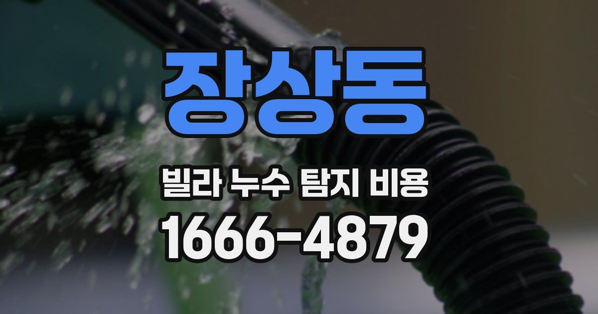 장상동 빌라 누수 탐지 비용