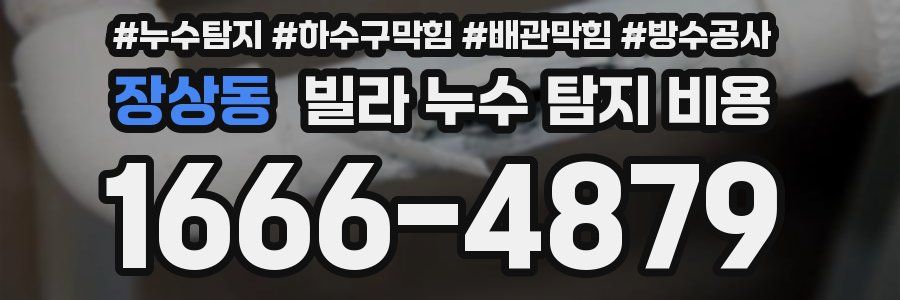 장상동 빌라 누수 탐지 비용