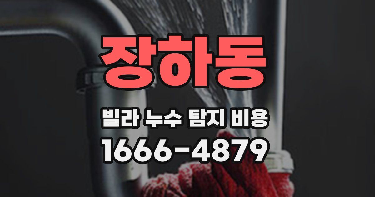 장하동 빌라 누수 탐지 비용