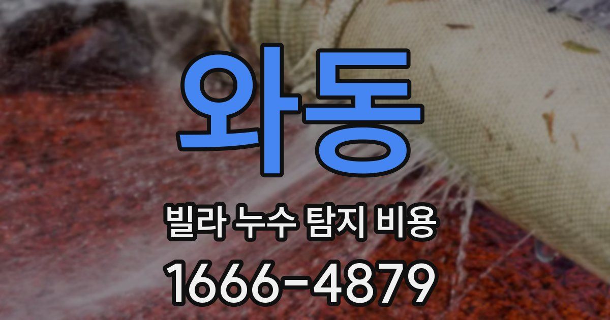 와동 빌라 누수 탐지 비용