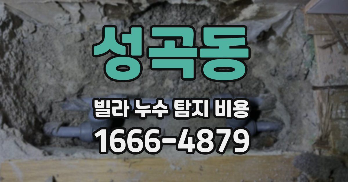 성곡동 빌라 누수 탐지 비용