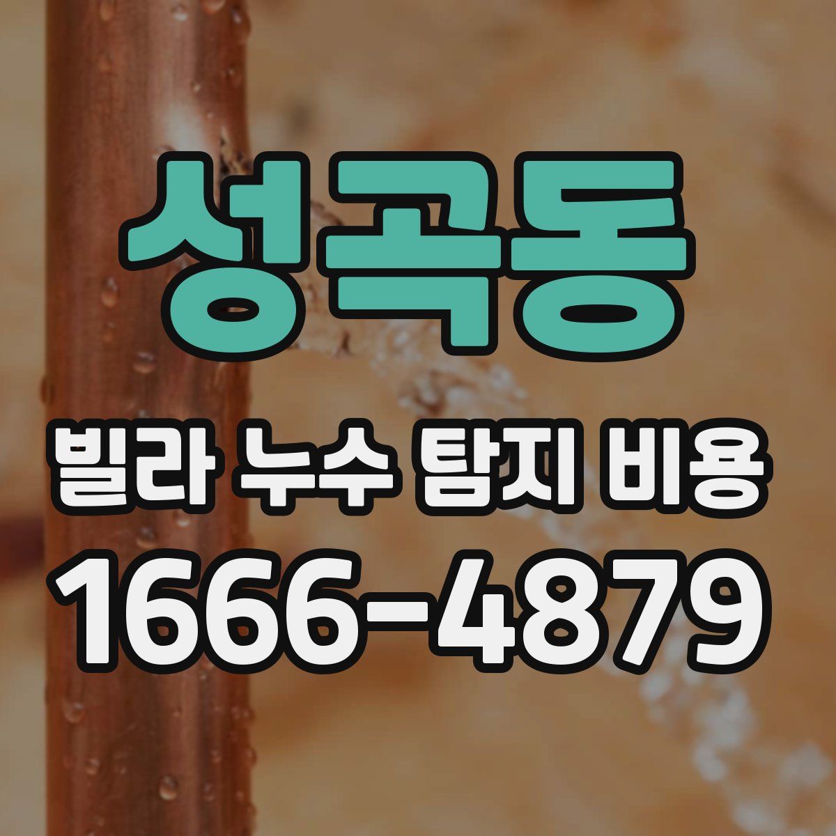 성곡동 빌라 누수 탐지 비용