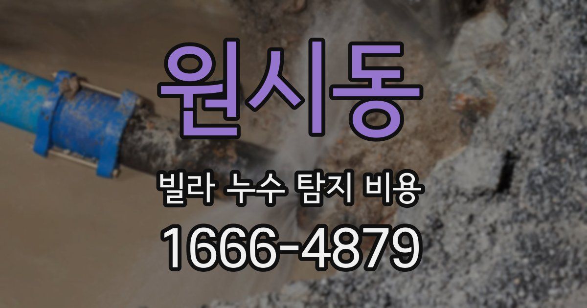 원시동 빌라 누수 탐지 비용
