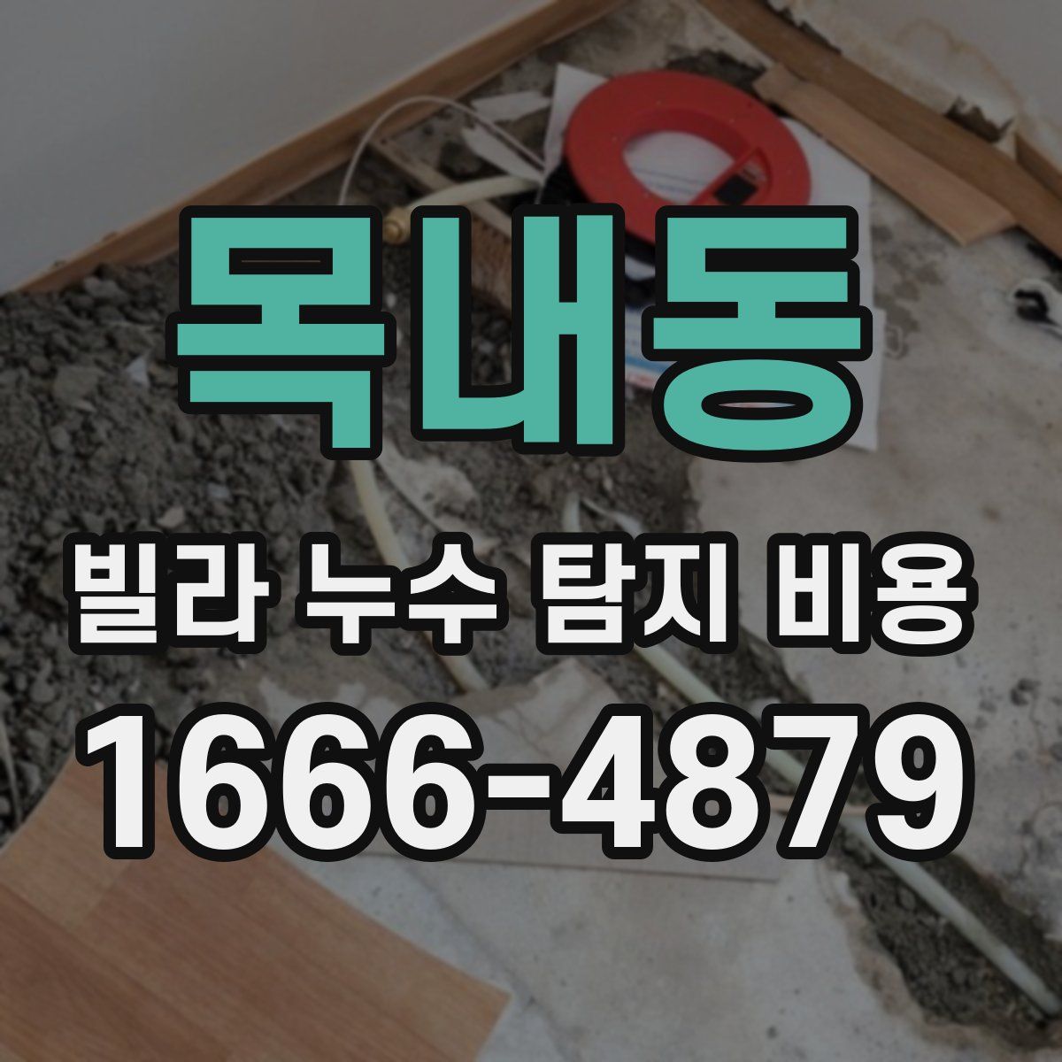 목내동 빌라 누수 탐지 비용