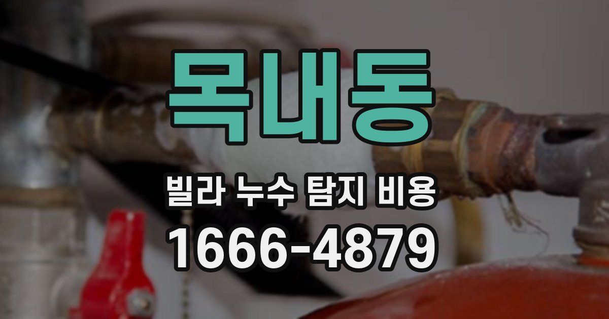목내동 빌라 누수 탐지 비용