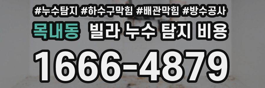 목내동 빌라 누수 탐지 비용