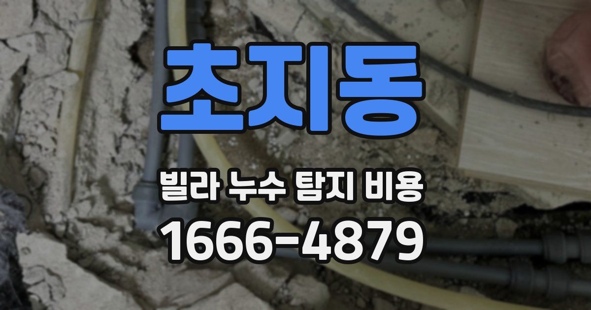 초지동 빌라 누수 탐지 비용