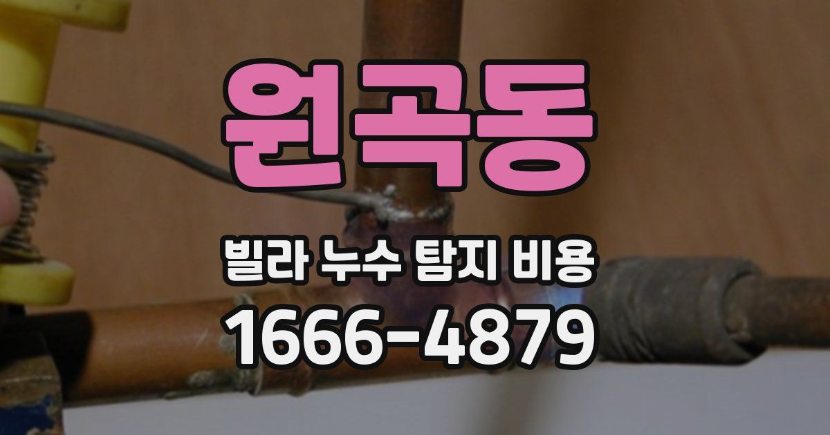 원곡동 빌라 누수 탐지 비용