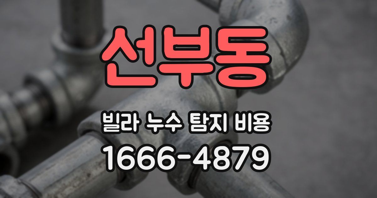 선부동 빌라 누수 탐지 비용