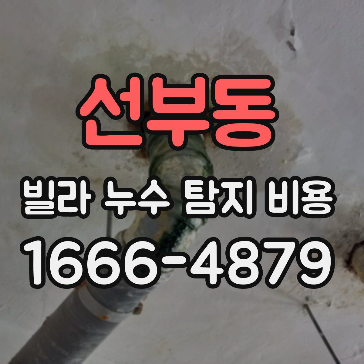 선부동 빌라 누수 탐지 비용