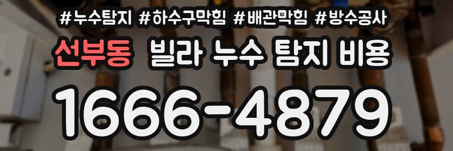 선부동 빌라 누수 탐지 비용