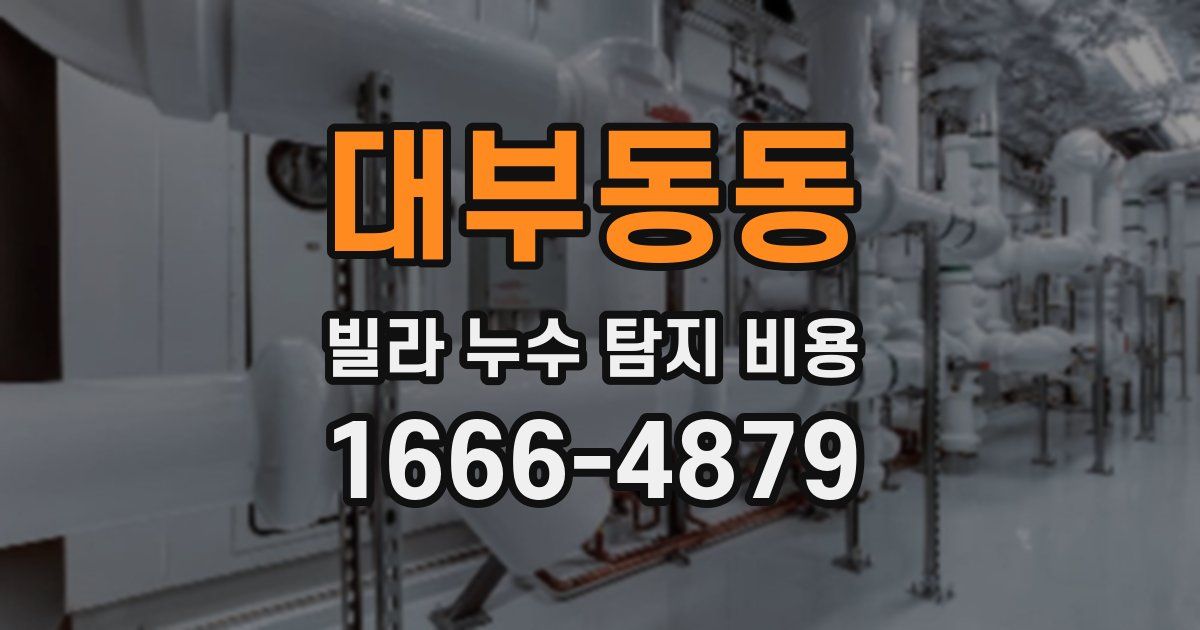 대부동동 빌라 누수 탐지 비용