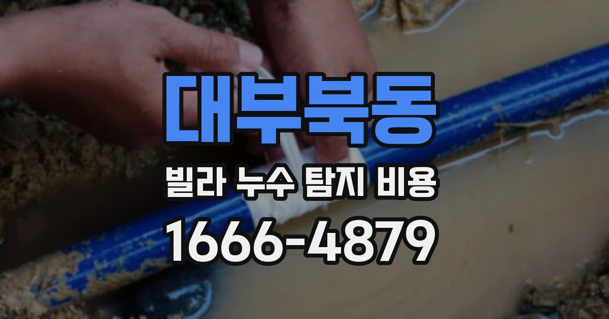 대부북동 빌라 누수 탐지 비용