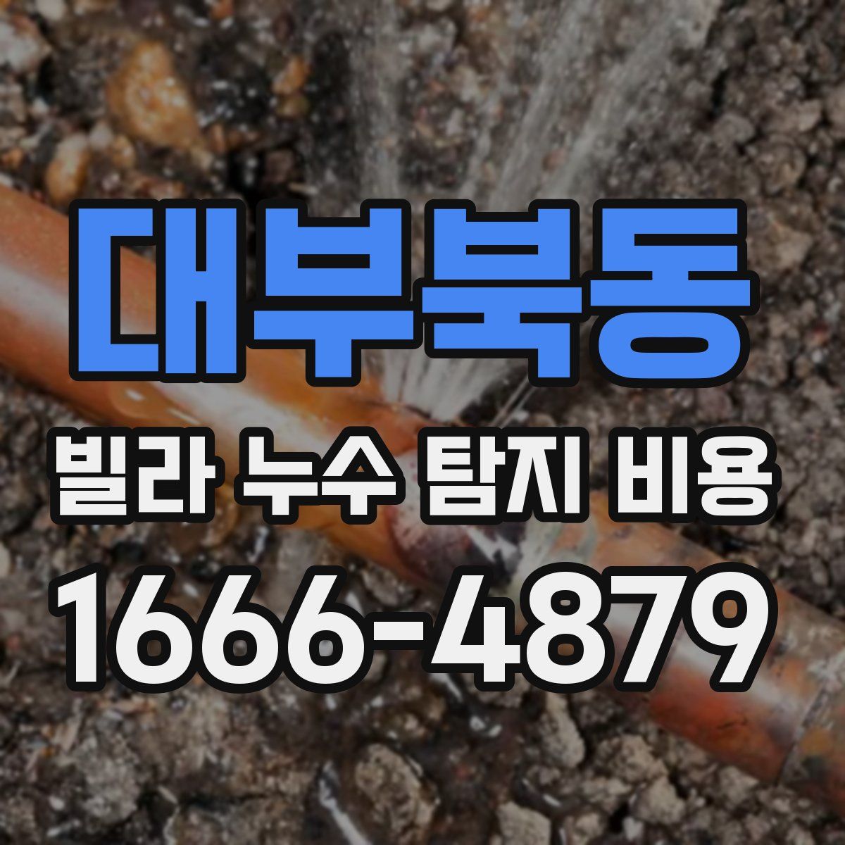 대부북동 빌라 누수 탐지 비용