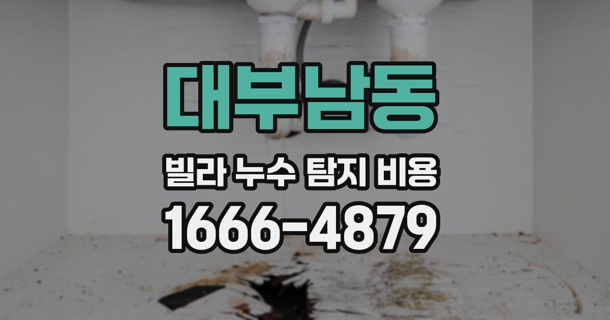 대부남동 빌라 누수 탐지 비용