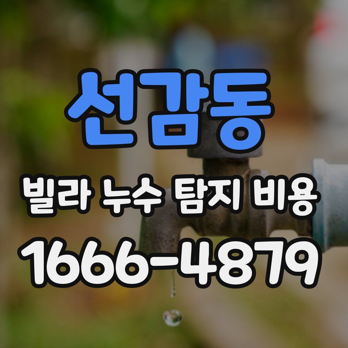 선감동 빌라 누수 탐지 비용