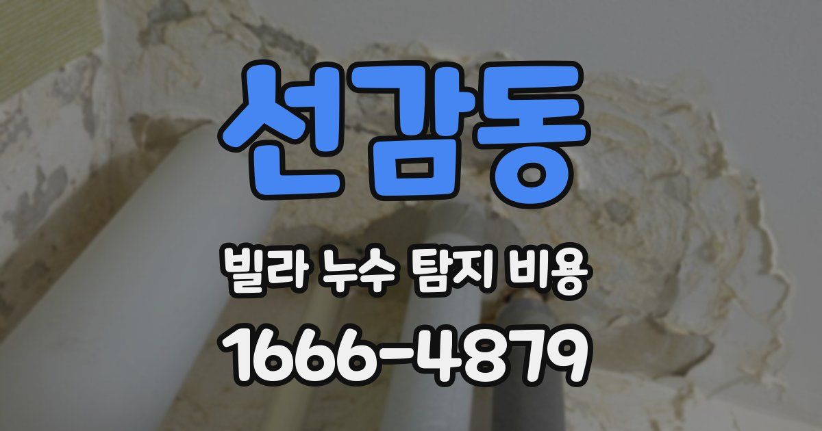 선감동 빌라 누수 탐지 비용