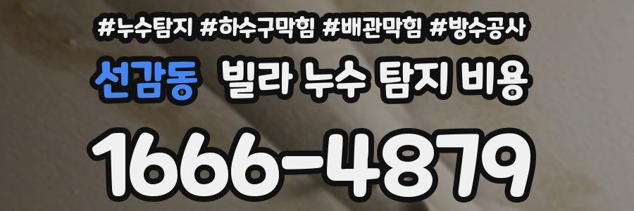 선감동 빌라 누수 탐지 비용