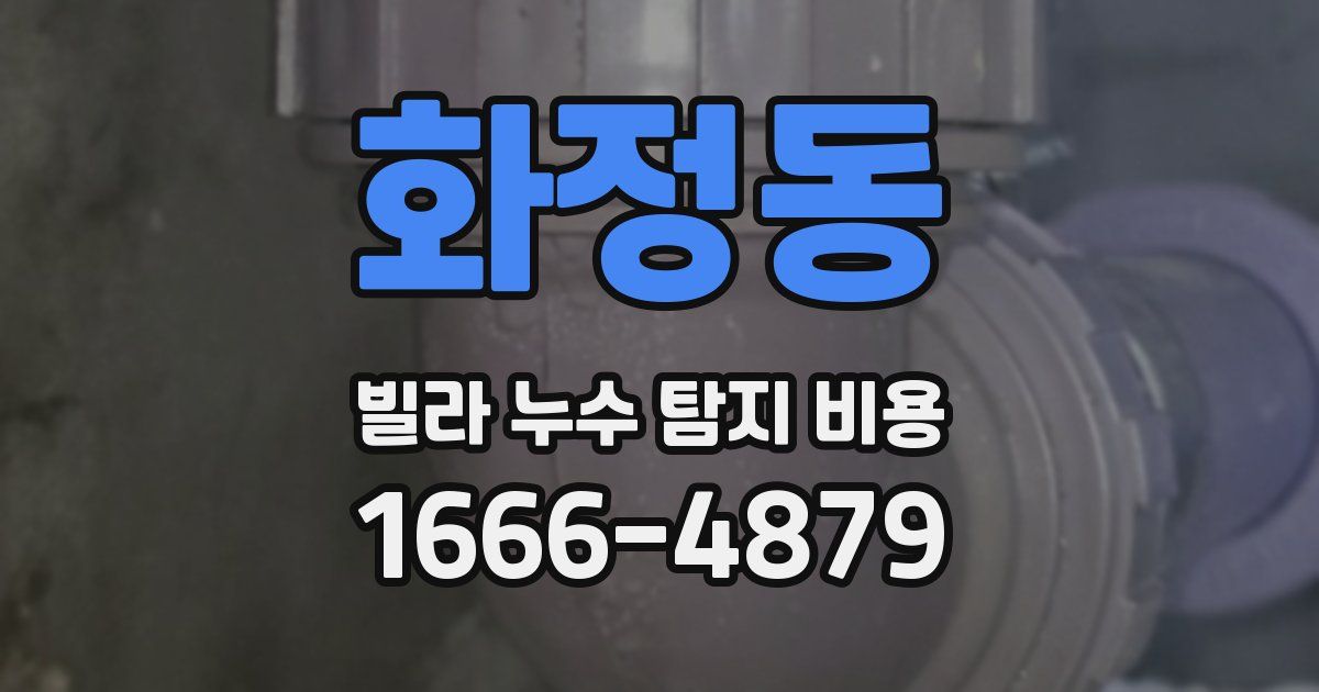 화정동 빌라 누수 탐지 비용