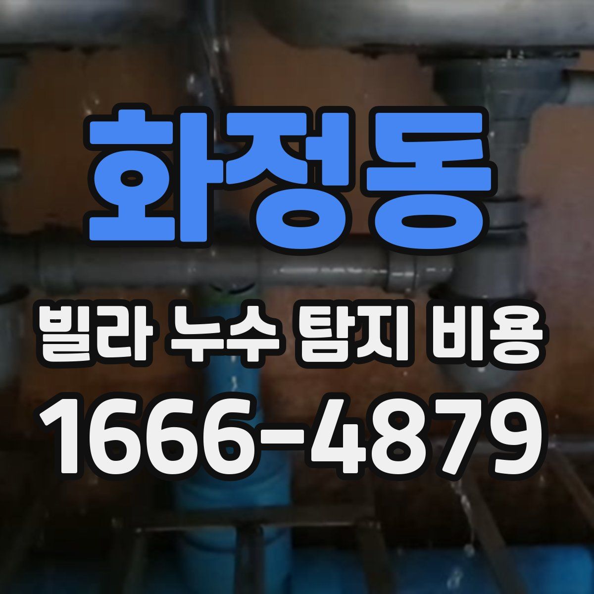화정동 빌라 누수 탐지 비용