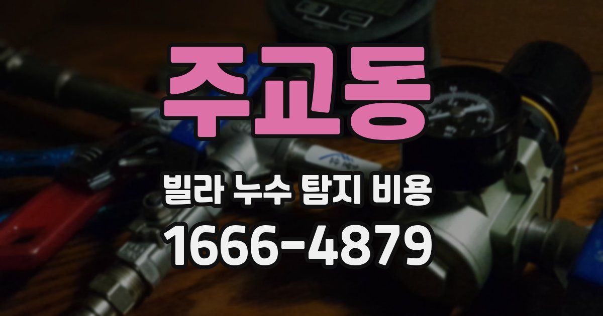 주교동 빌라 누수 탐지 비용