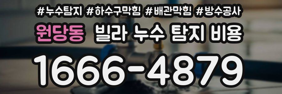 원당동 빌라 누수 탐지 비용