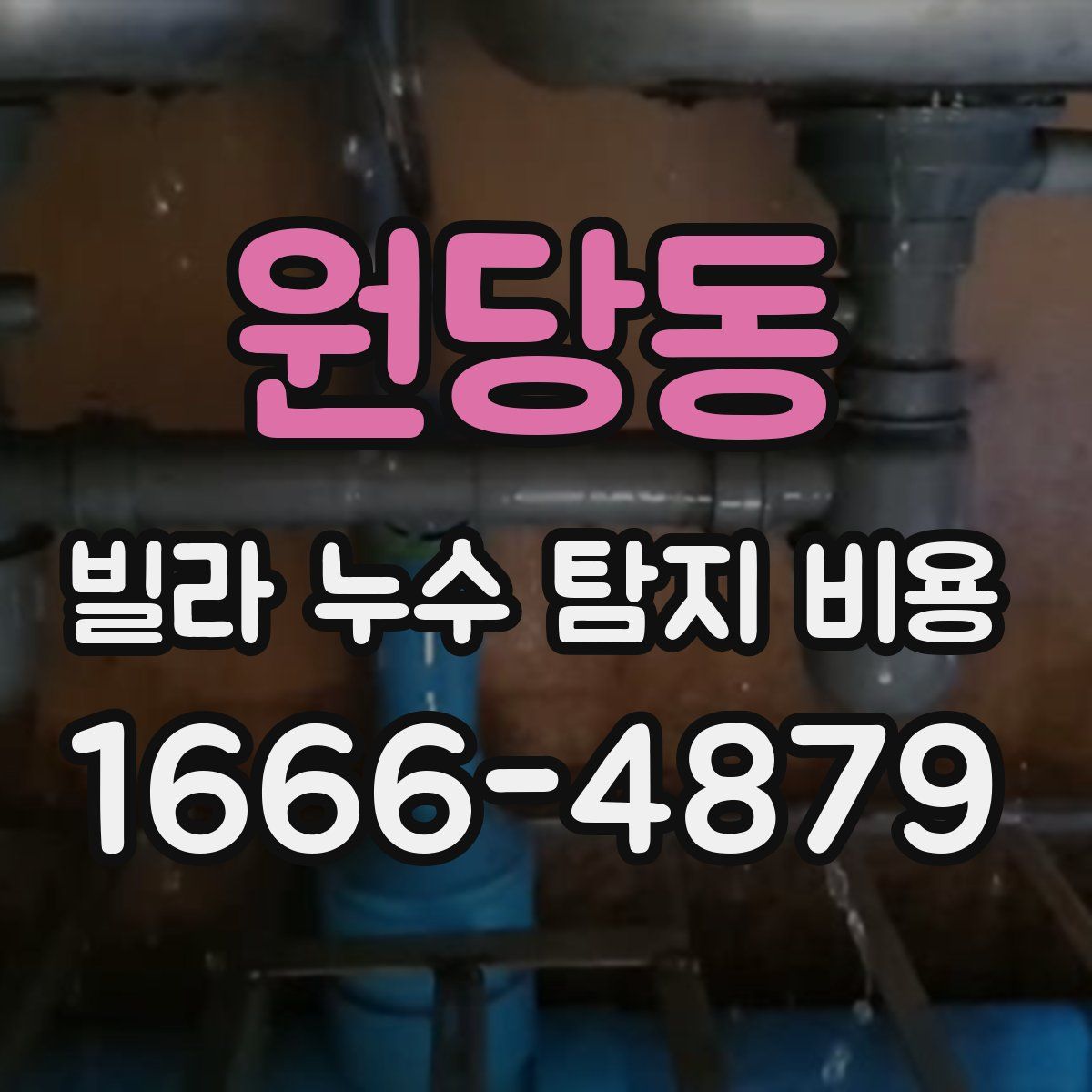 원당동 빌라 누수 탐지 비용