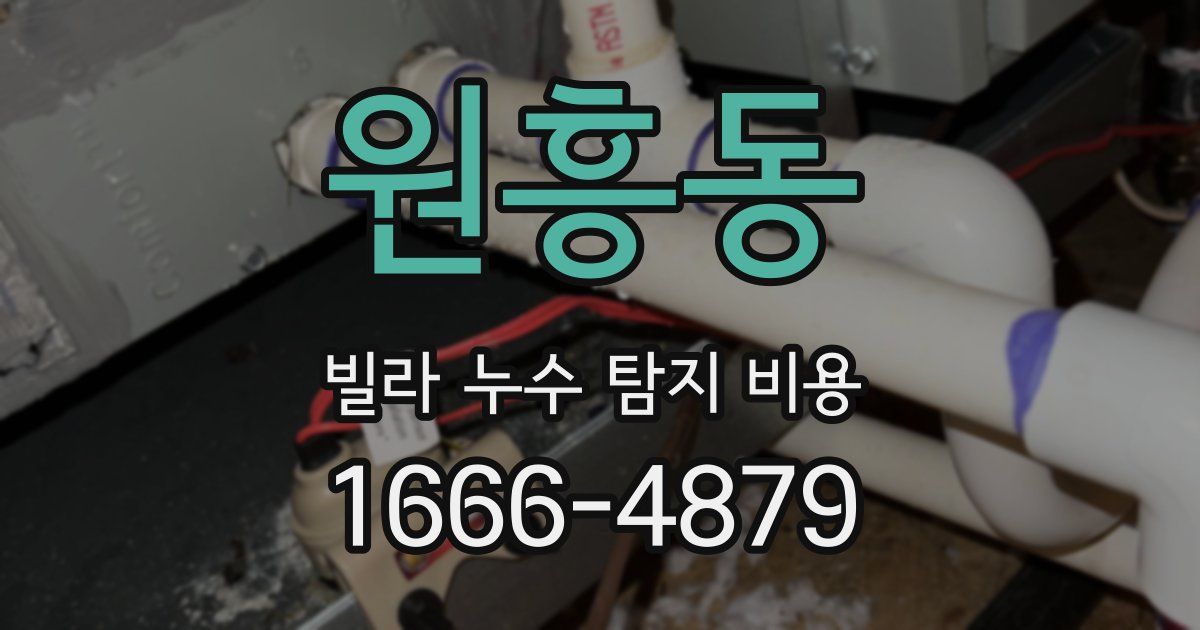 원흥동 빌라 누수 탐지 비용