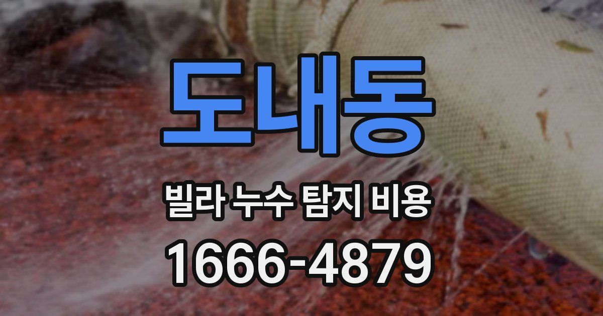 도내동 빌라 누수 탐지 비용