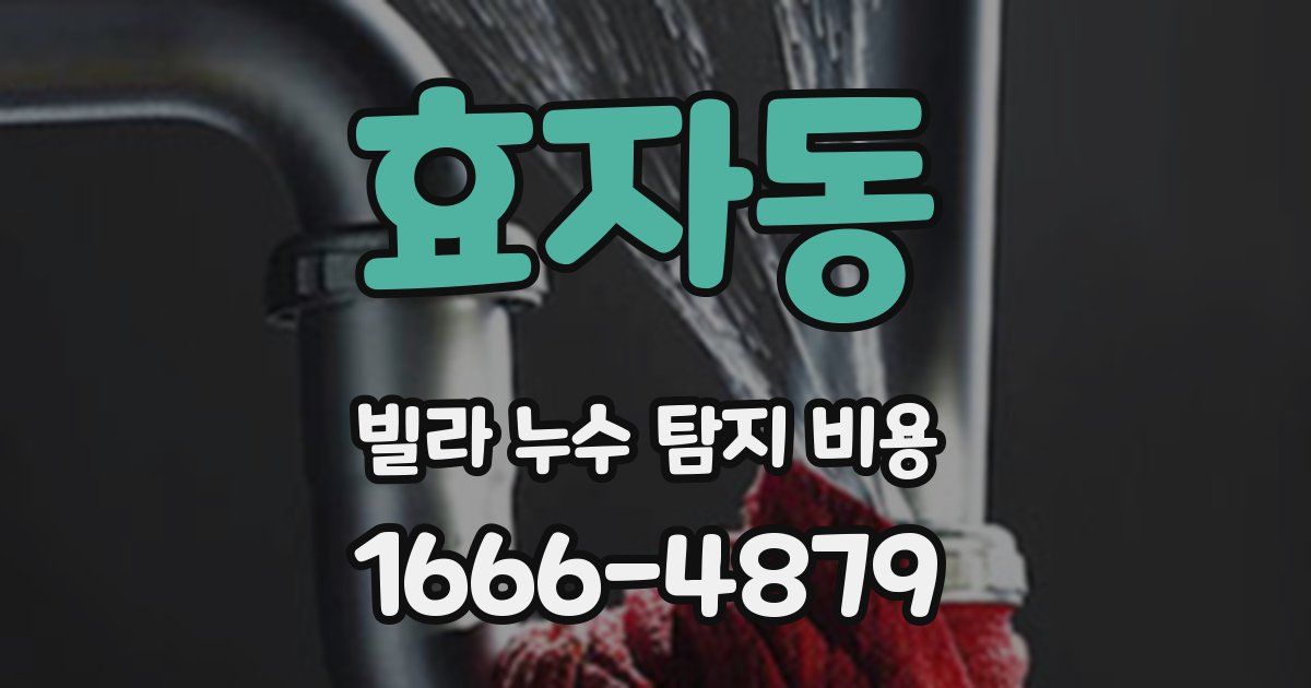 효자동 빌라 누수 탐지 비용