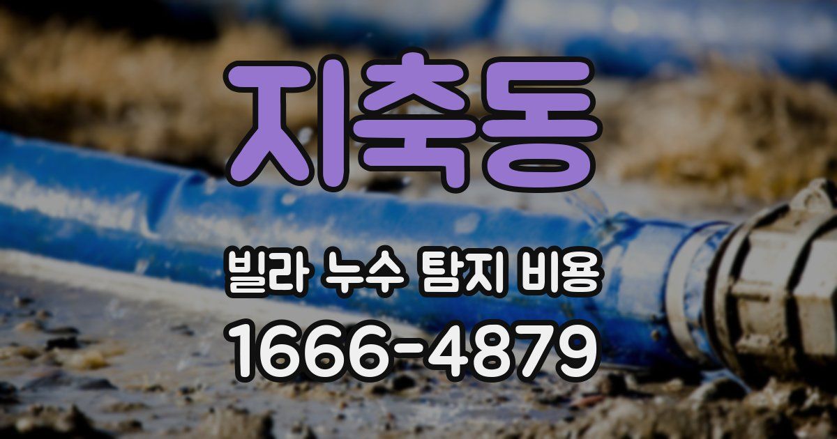 지축동 빌라 누수 탐지 비용