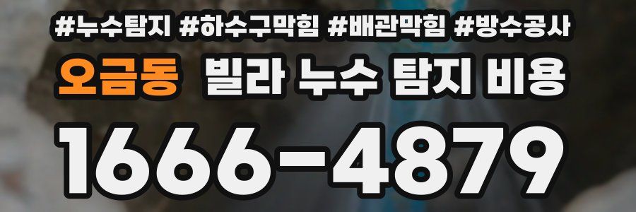 오금동 빌라 누수 탐지 비용