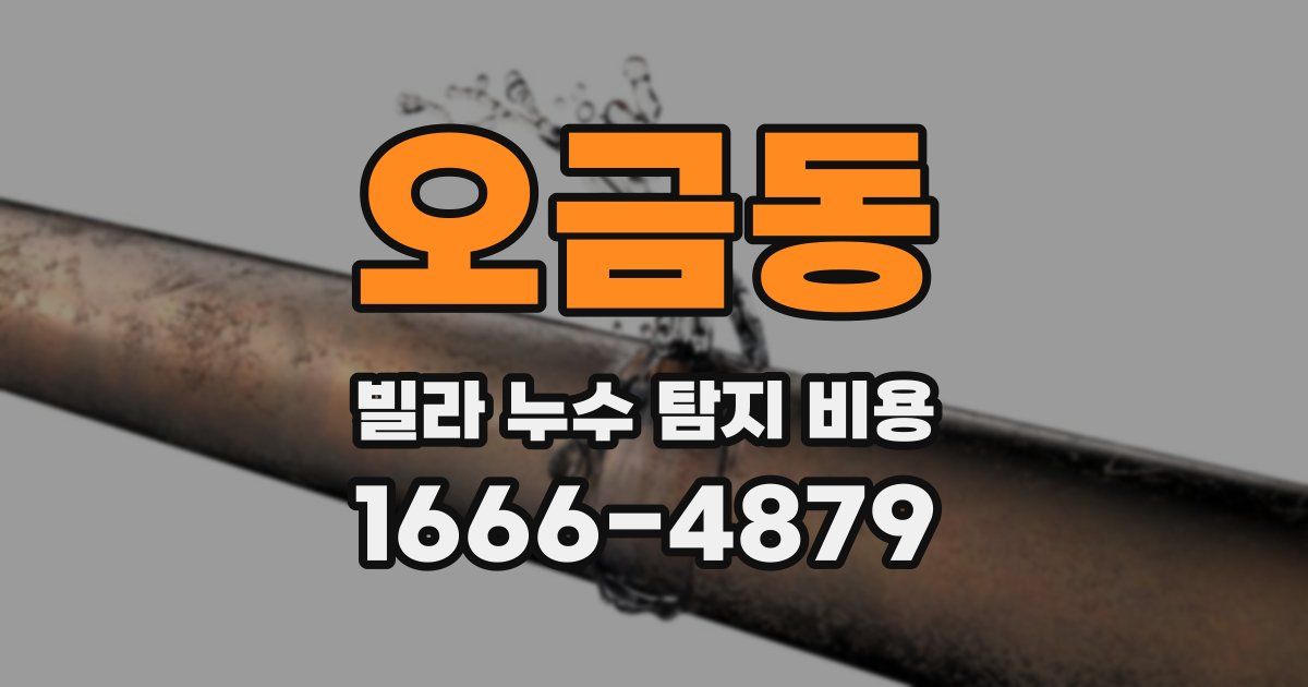 오금동 빌라 누수 탐지 비용