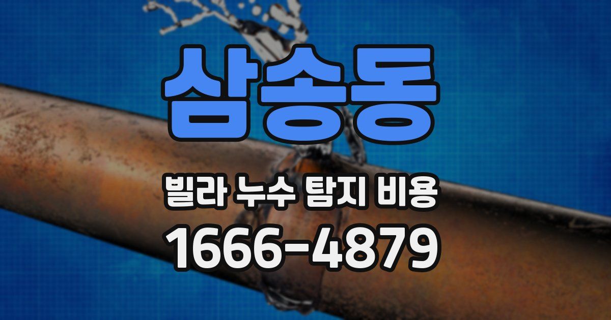 삼송동 빌라 누수 탐지 비용