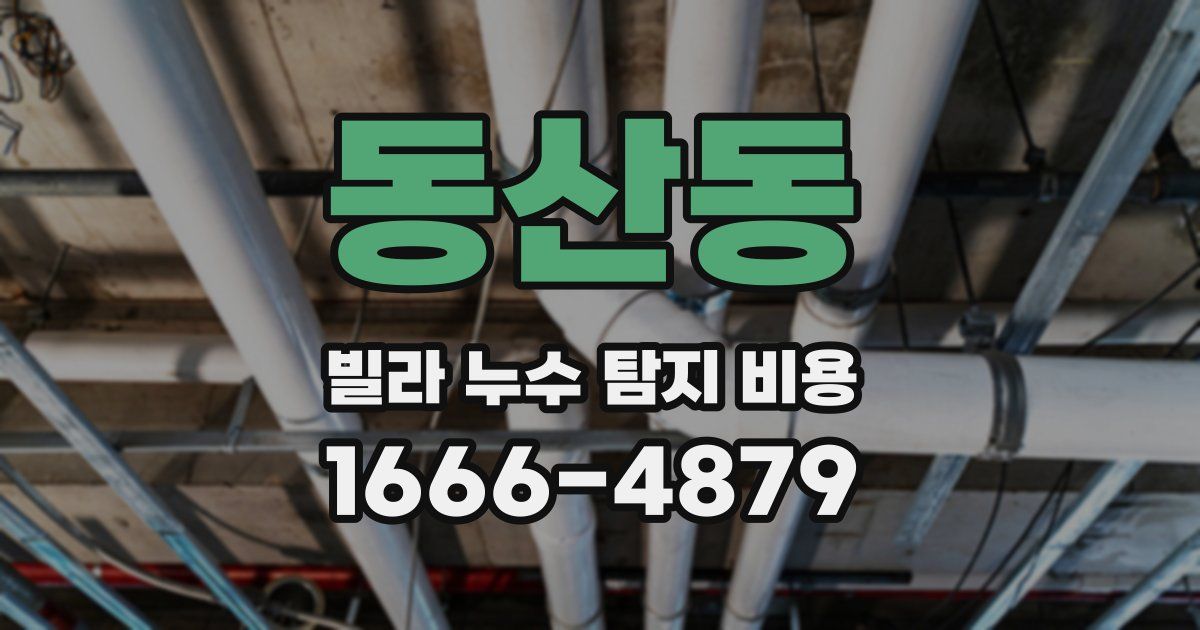 동산동 빌라 누수 탐지 비용