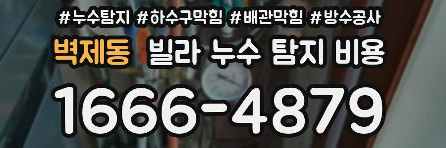 벽제동 빌라 누수 탐지 비용