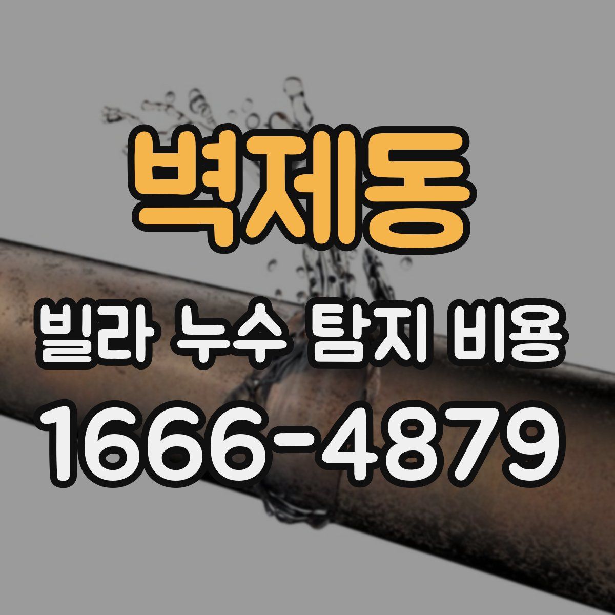 벽제동 빌라 누수 탐지 비용