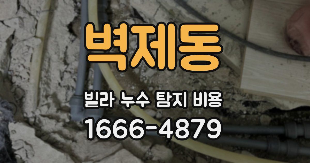 벽제동 빌라 누수 탐지 비용