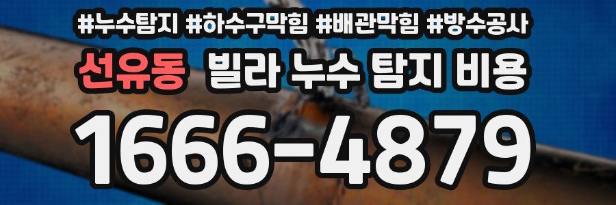 선유동 빌라 누수 탐지 비용