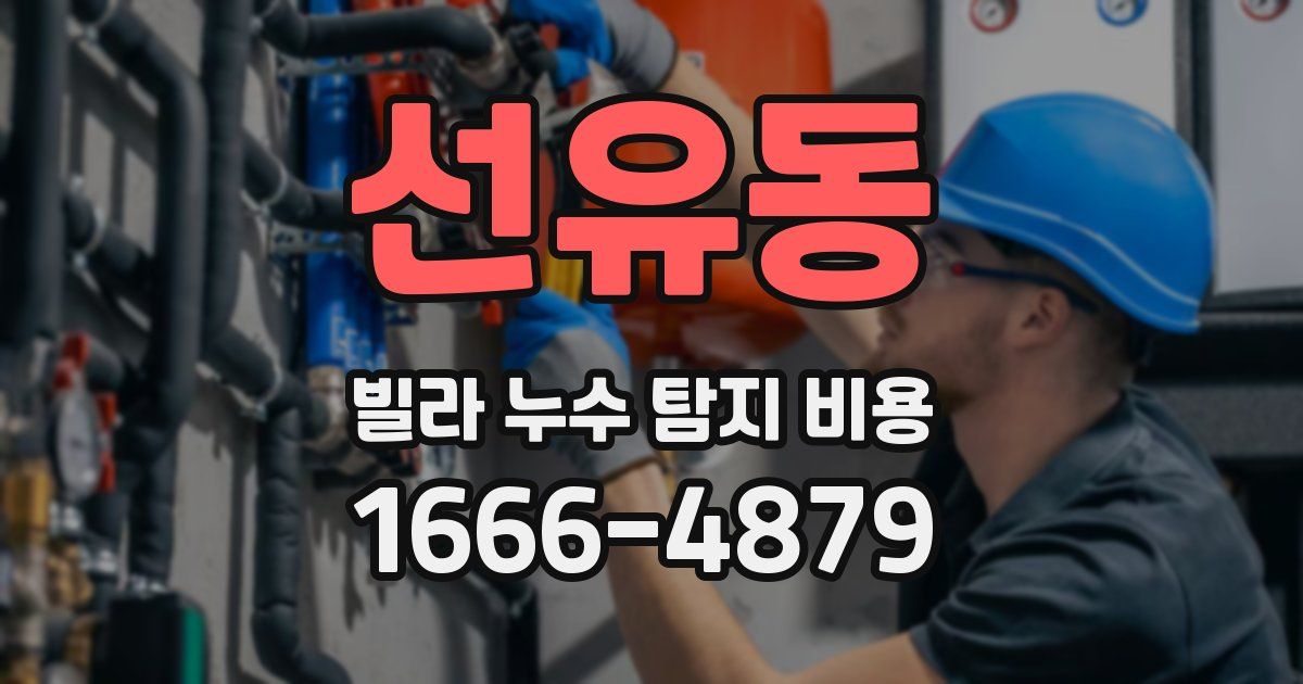 선유동 빌라 누수 탐지 비용