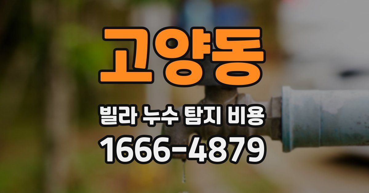 고양동 빌라 누수 탐지 비용